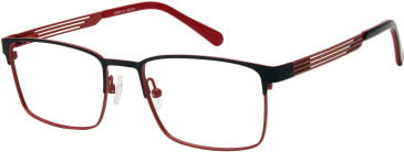 Halstrom 3089 glasses in Black/Maroon