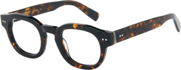 London Club 1166 ARCHER glasses in Tort