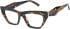 Romeo & Juliet 2751 glasses in Brown Demi