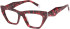Romeo & Juliet 2751 glasses in Red Demi
