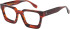 Romeo & Juliet 2763 Gina glasses in Tort