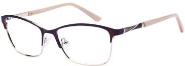 Romeo & Juliet RJ730 glasses in Brown/Gold