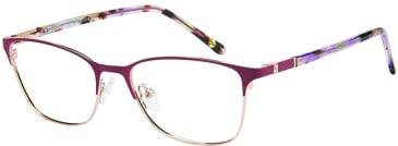 Romeo & Juliet RJ744 glasses in Burgundy/Gold