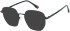 Halstrom 3083 sunglasses in Black/Red