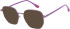 Halstrom 3083 sunglasses in Purple