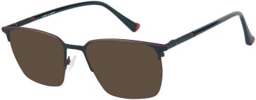 Halstrom 3087 sunglasses in Black/Maroon
