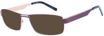 Halstrom H53 sunglasses in Brown/Gold