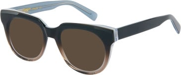 London Club 1164 TAYLOR sunglasses in Brown/Grey