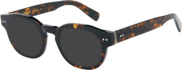 London Club 1166 ARCHER sunglasses in Tort