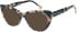 Romeo & Juliet 2753 sunglasses in Pink