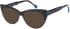Romeo & Juliet 2753 sunglasses in Brown