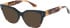 Romeo & Juliet 2758 Kate sunglasses in Brown