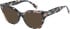 Romeo & Juliet 2758 Kate sunglasses in Pink