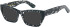 Romeo & Juliet 2759 Lauren sunglasses in Demi Black