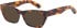 Romeo & Juliet 2759 Lauren sunglasses in Tort
