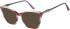 Halstrom 3081 sunglasses in Grey/Red