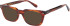 London Club 1161 DUFF sunglasses in Tort
