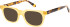 London Club 1161 DUFF sunglasses in Yellow