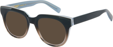 London Club 1164 TAYLOR sunglasses in Brown/Grey