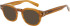 London Club 1166 ARCHER sunglasses in Brown