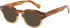 London Club 1166 ARCHER sunglasses in Brown/Clear