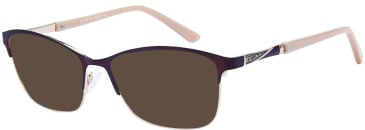 Romeo & Juliet RJ730 sunglasses in Brown/Gold