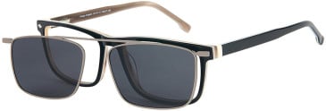London Club 1147 glasses in Black/Brown