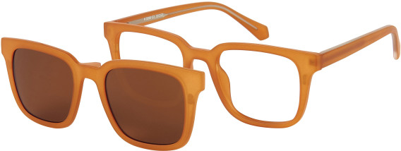 Halstrom 3096 glasses in Brown