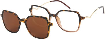 Halstrom 3092 glasses in Black