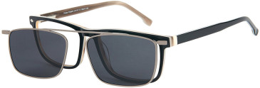 London Club 1147 glasses in Black/Brown
