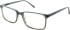 CAT CPO-3530 Glasses in Clear Green/Clear Brown