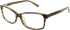 Radley RDO ANNIE Glasses in Havana