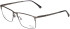 Jaguar 35602 glasses in Grey