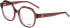 Joop! 81224 glasses in Clear Brown