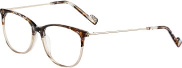 Menrad 12028 glasses in Brown/Clear Brown