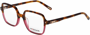 Morgan 201173 glasses in Tortoise/Pink
