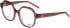Joop! 81224 glasses in Clear Brown