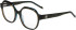 Joop! 81224 glasses in Dark Green
