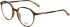 Joop! 86008 glasses in Clear Brown