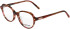 Morgan 201161 glasses in Brown Pattern