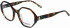 Morgan 201171 glasses in Brown Pattern