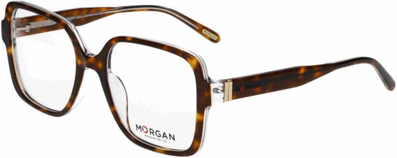 Morgan 201172 glasses in Tortoise