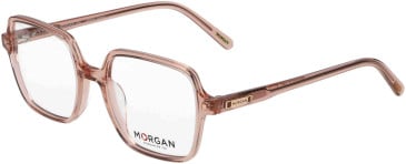 Morgan 201173 glasses in Clear Pink