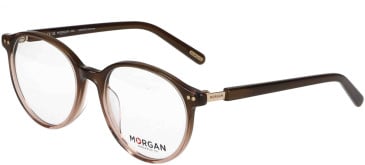 Morgan 202035 glasses in Brown/Clear Brown