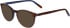 Jaguar 31511 sunglasses in Matt Brown