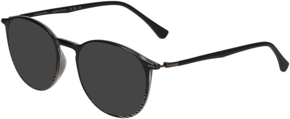 Jaguar 36808 sunglasses in Matt Black