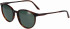 Jaguar 37262 glasses in Brown