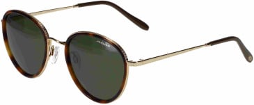Jaguar 37467 glasses in Tortoise/Gold