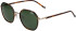 Joop! 87407 glasses in Tortoise/Gold
