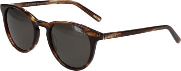 Morgan 207248 glasses in Tortoise